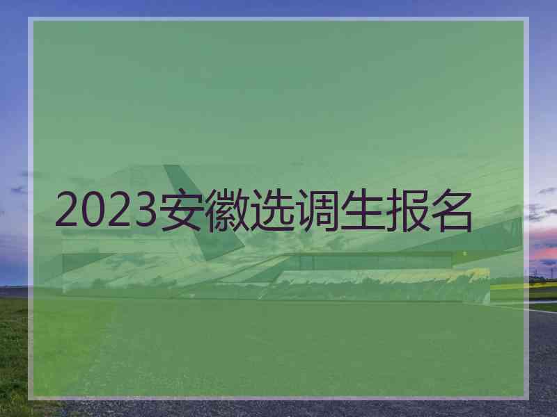 2023安徽选调生报名