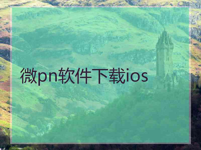 微pn软件下载ios
