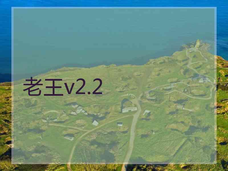 老王v2.2