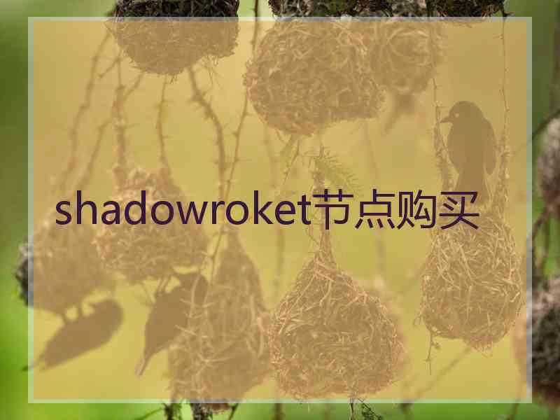 shadowroket节点购买