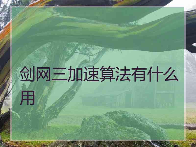 剑网三加速算法有什么用