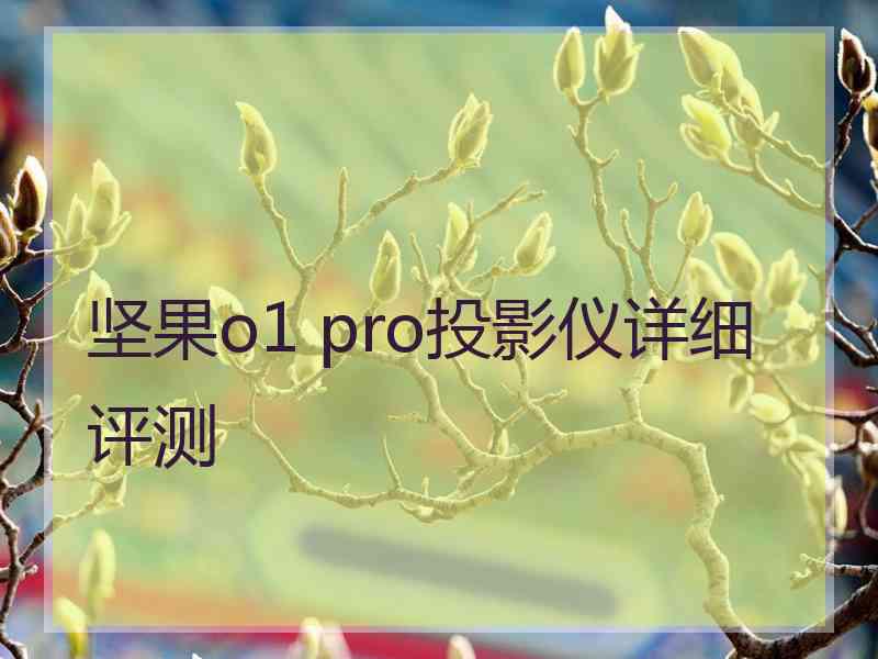 坚果o1 pro投影仪详细评测