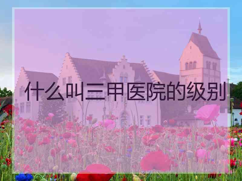 什么叫三甲医院的级别