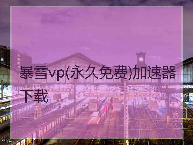 暴雪vp(永久免费)加速器下载