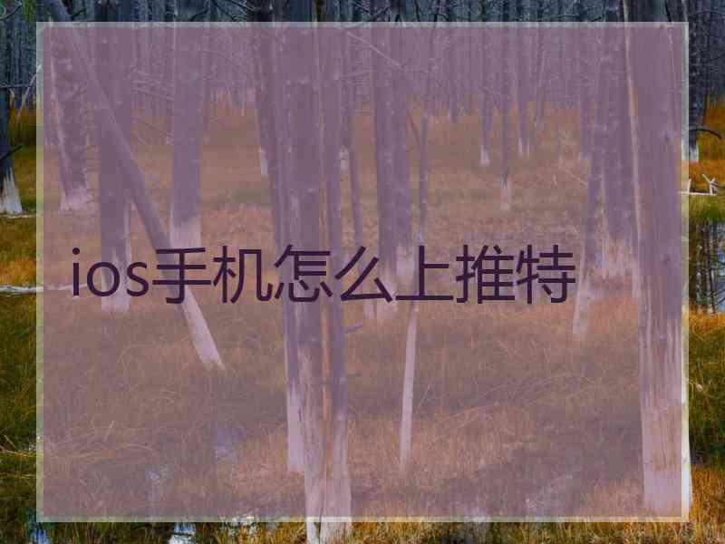 ios手机怎么上推特