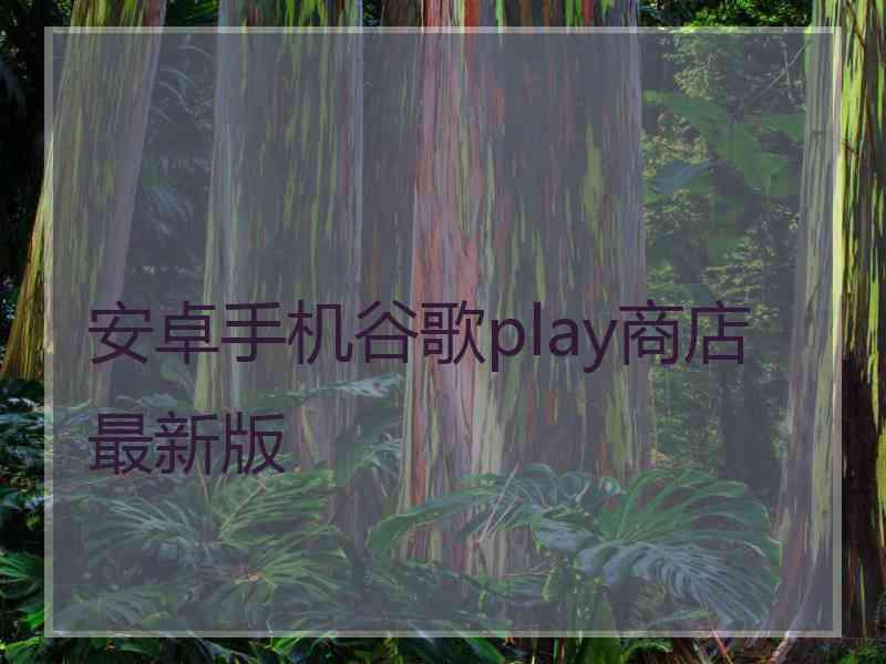 安卓手机谷歌play商店最新版