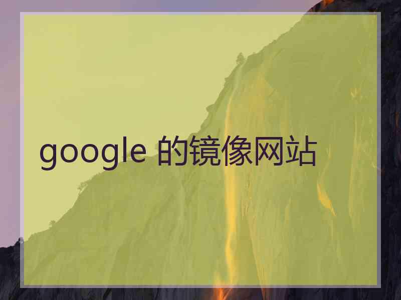 google 的镜像网站