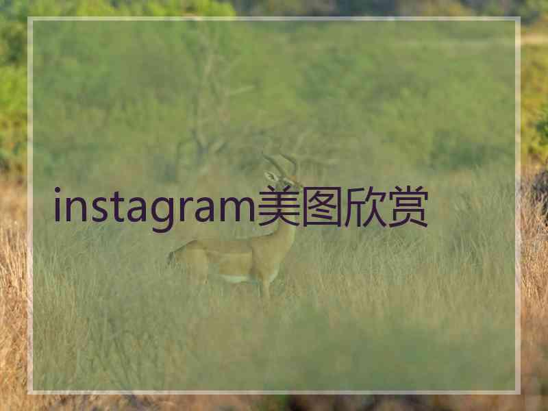 instagram美图欣赏