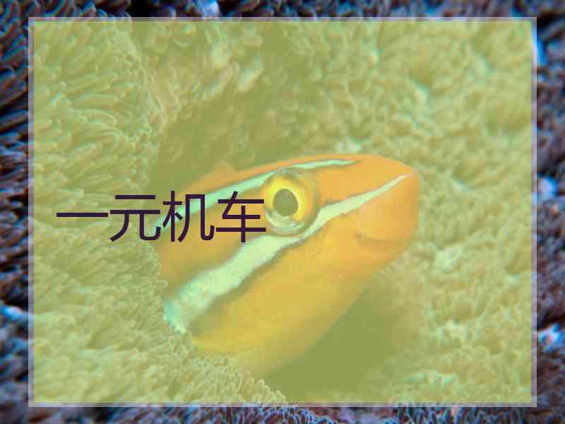 一元机车