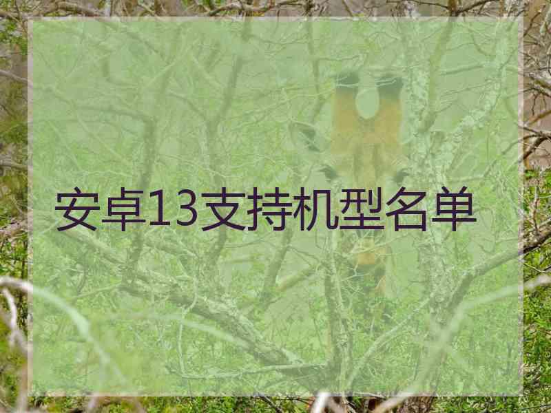 安卓13支持机型名单