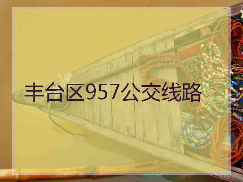 丰台区957公交线路