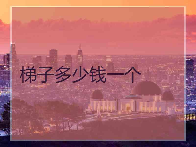 梯子多少钱一个