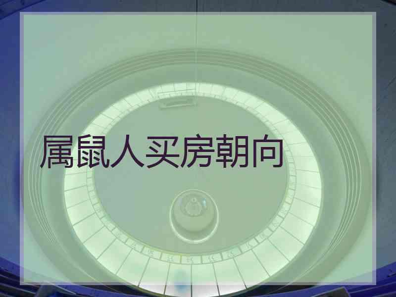 属鼠人买房朝向