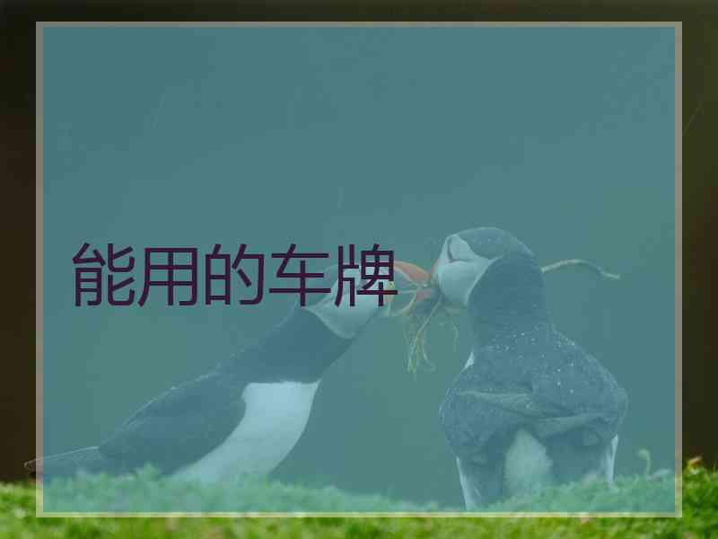 能用的车牌