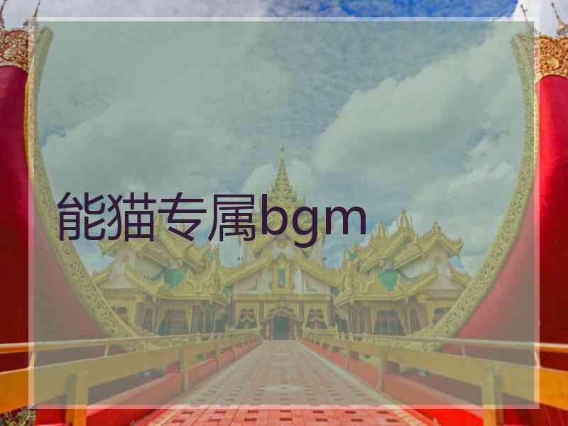 能猫专属bgm