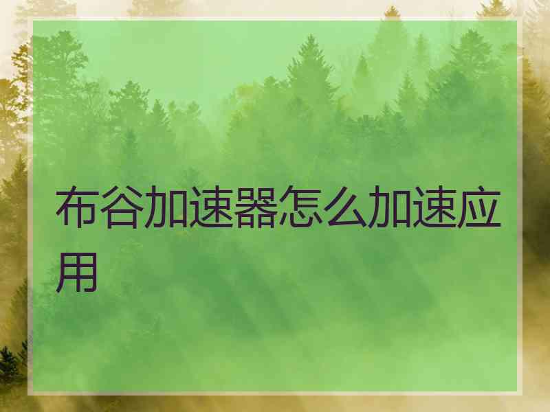 布谷加速器怎么加速应用