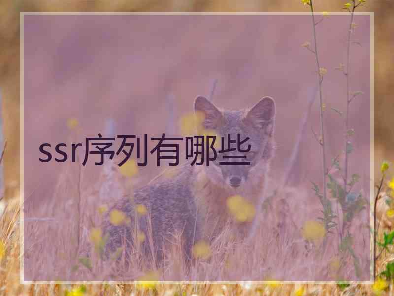 ssr序列有哪些