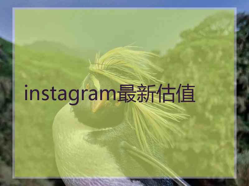 instagram最新估值