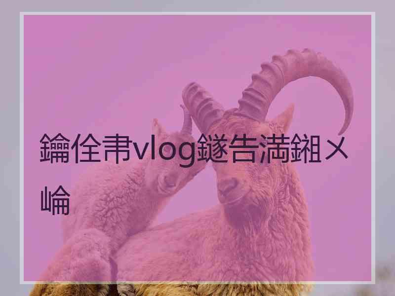 鑰佺帇vlog鐩告満鎺ㄨ崘