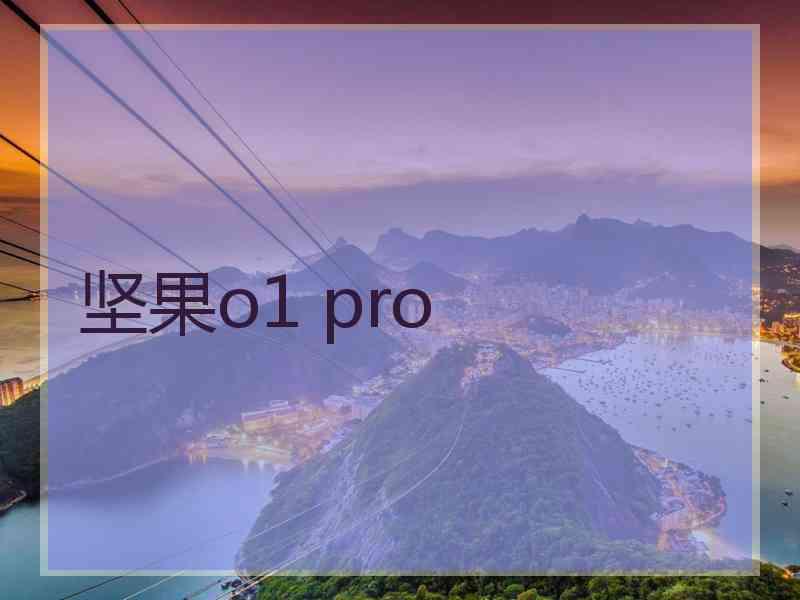 坚果o1 pro