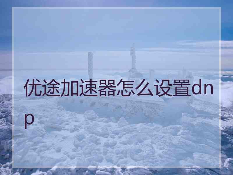 优途加速器怎么设置dnp