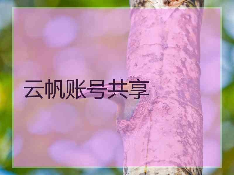 云帆账号共享
