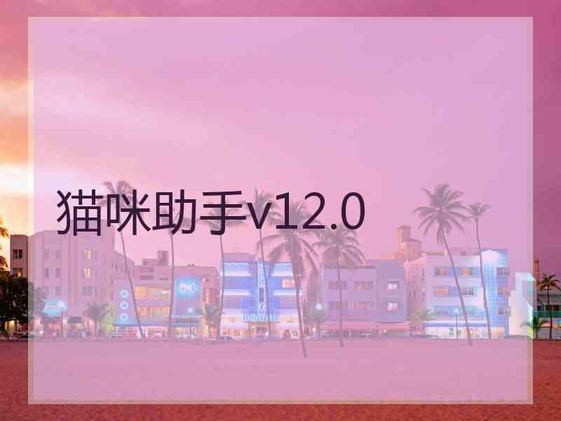 猫咪助手v12.0