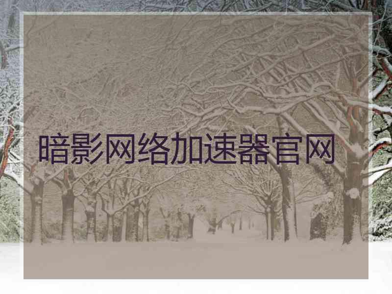 暗影网络加速器官网