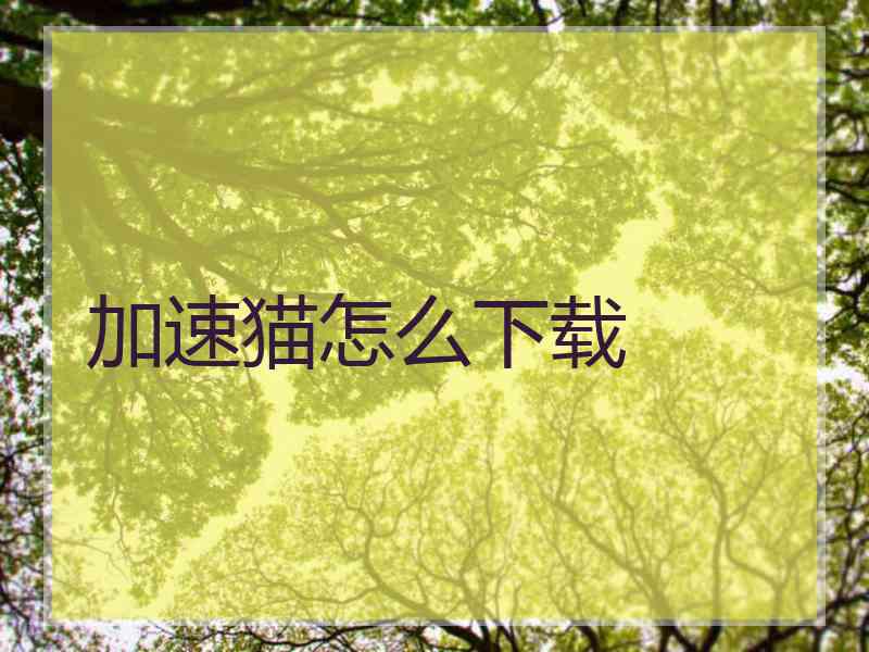 加速猫怎么下载