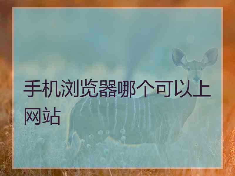 手机浏览器哪个可以上网站