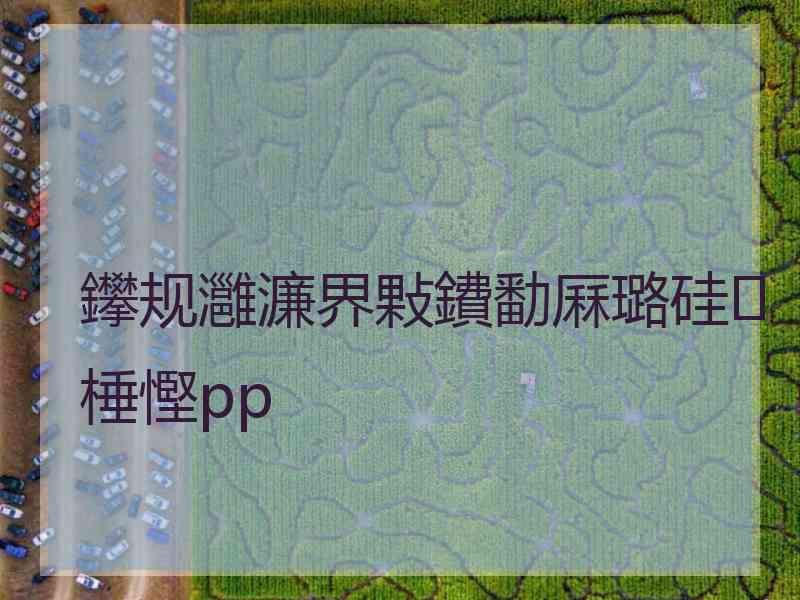 鑻规灉濂界敤鐨勫厤璐硅棰慳pp