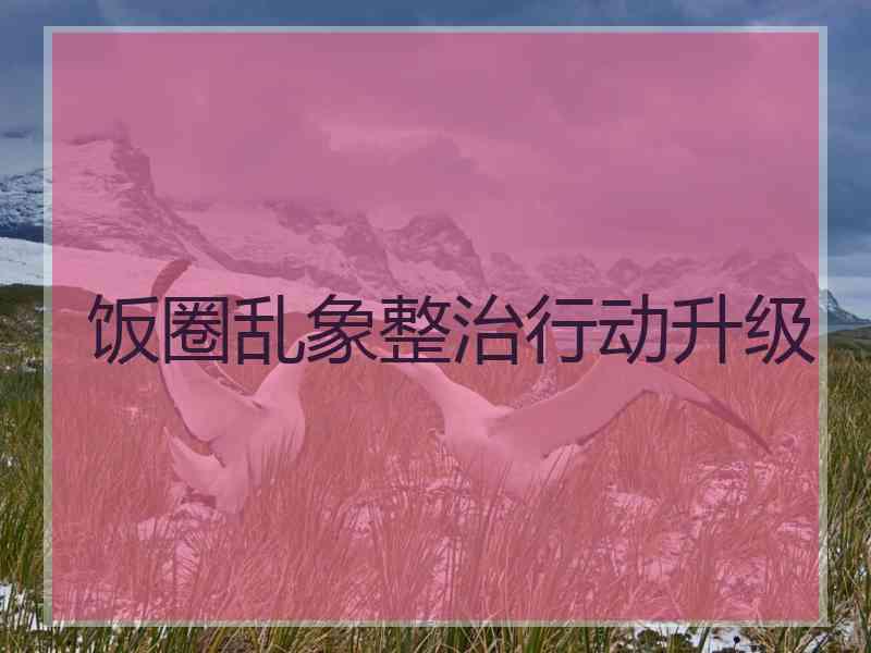 饭圈乱象整治行动升级
