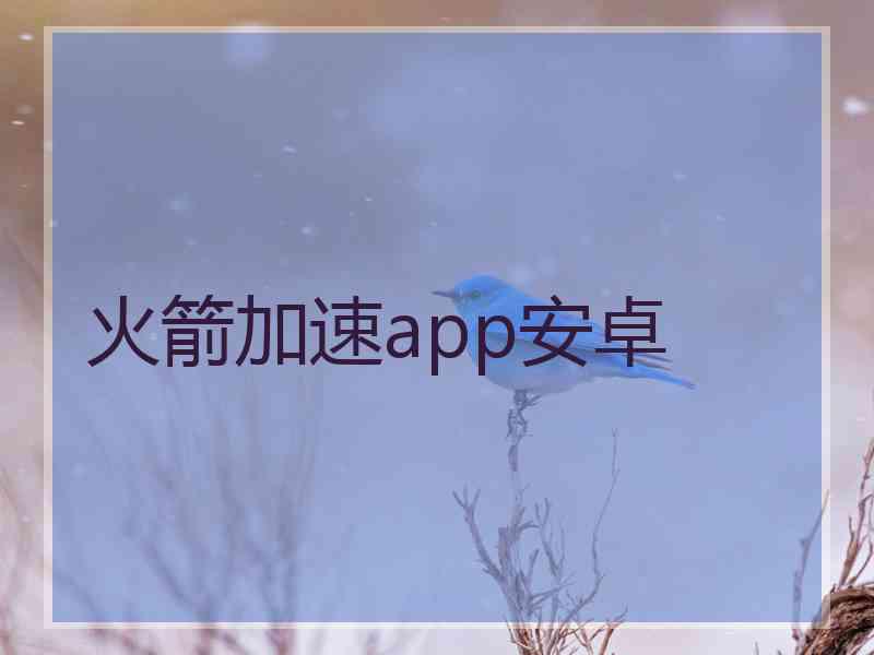 火箭加速app安卓