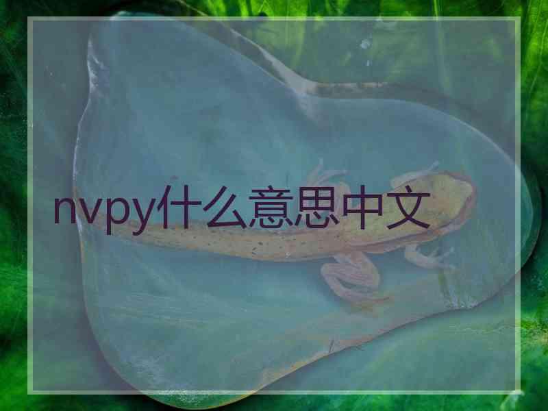 nvpy什么意思中文