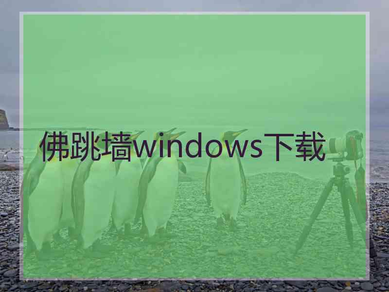 佛跳墙windows下载