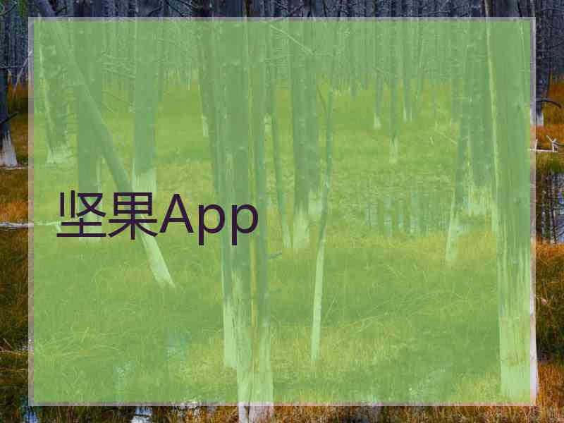 坚果App