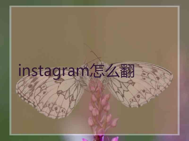 instagram怎么翻