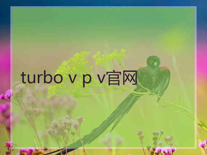 turbo v p v官网