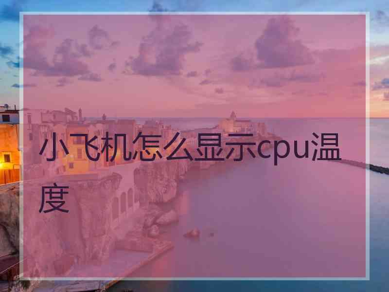 小飞机怎么显示cpu温度