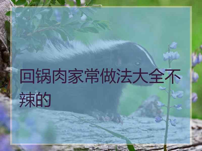 回锅肉家常做法大全不辣的