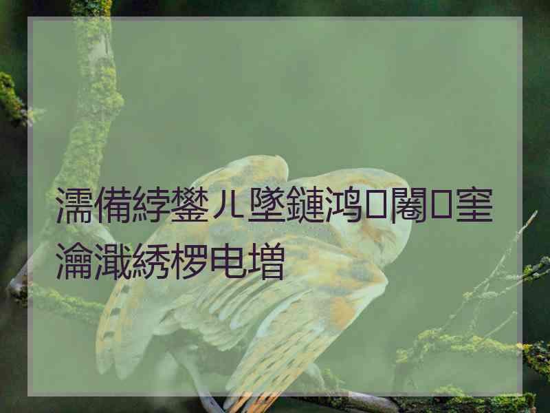 濡備綍鐢ㄦ墜鏈鸿闂窐瀹濈綉椤电増