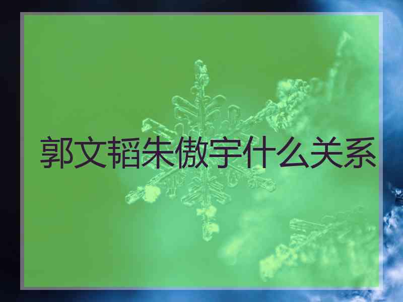 郭文韬朱傲宇什么关系