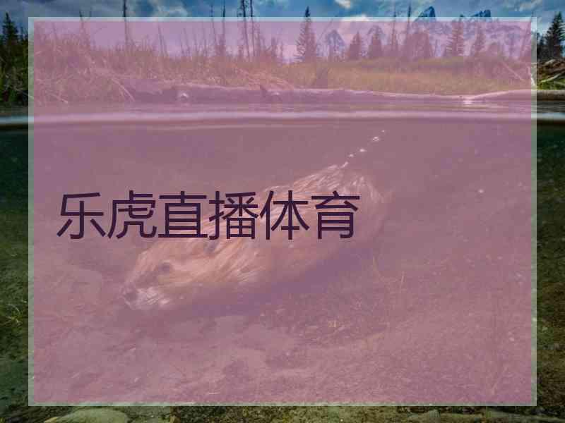 乐虎直播体育