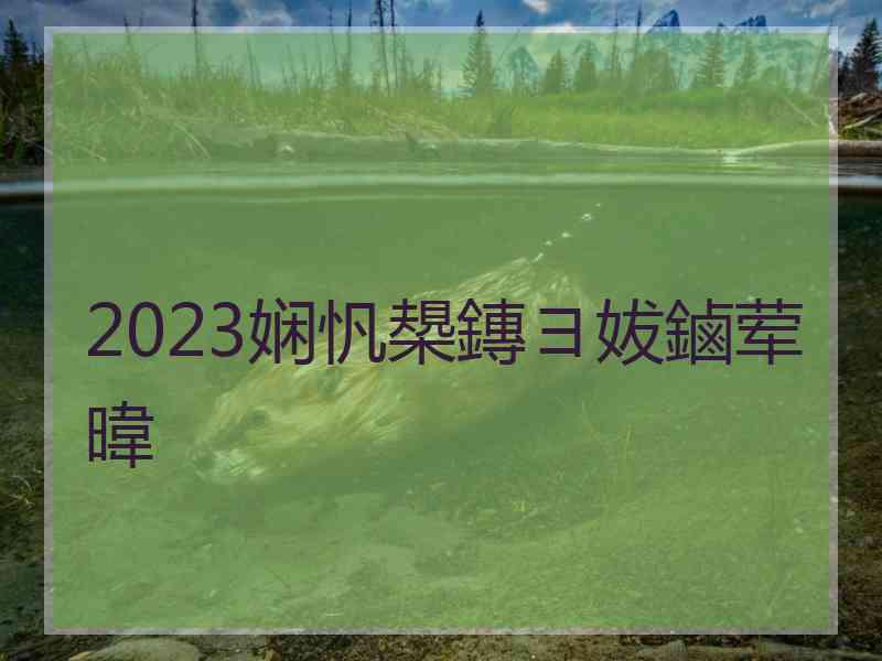 2023娴忛槼鏄ヨ妭鏀荤暐