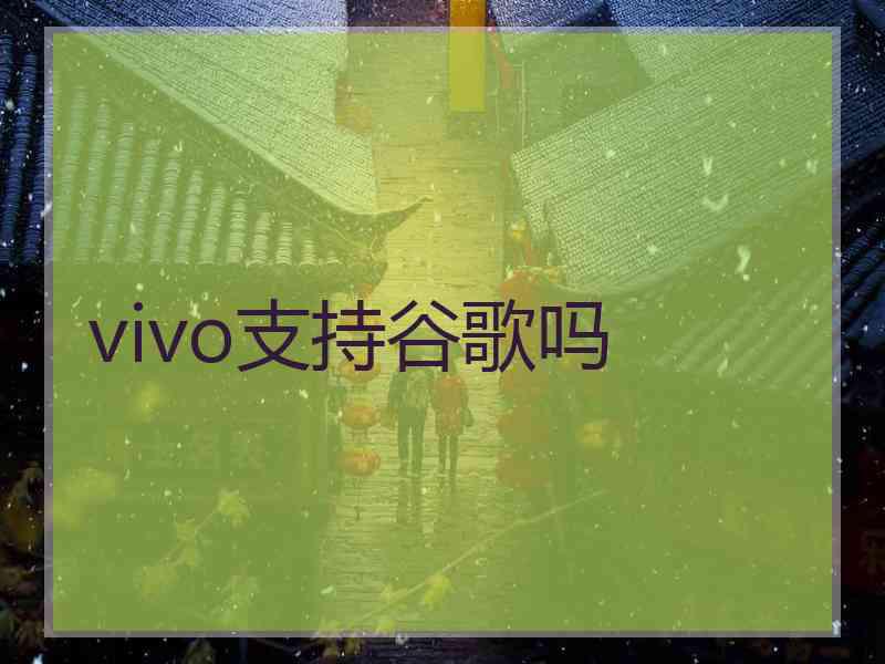 vivo支持谷歌吗