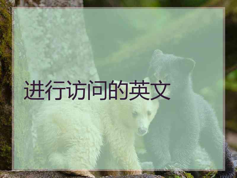 进行访问的英文