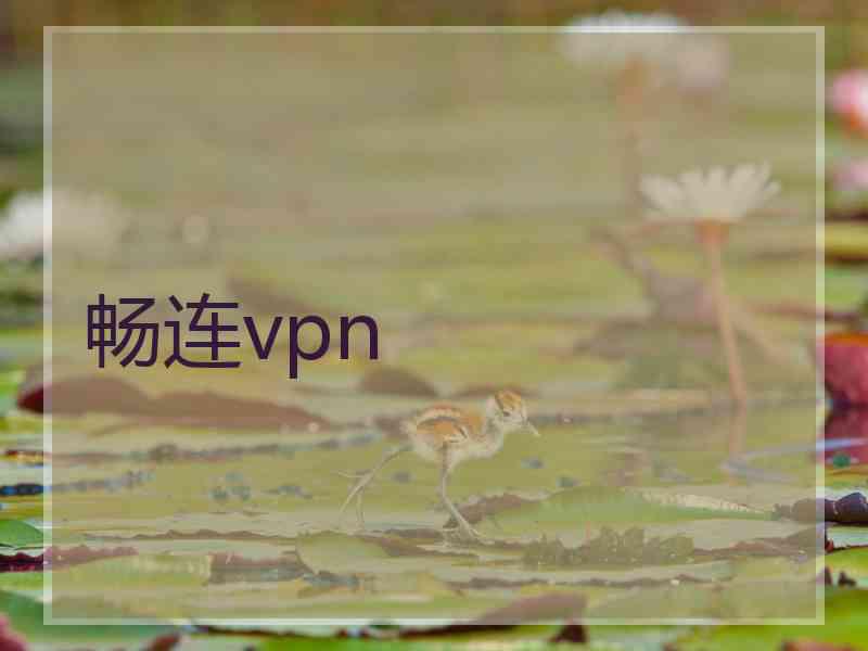 畅连vpn