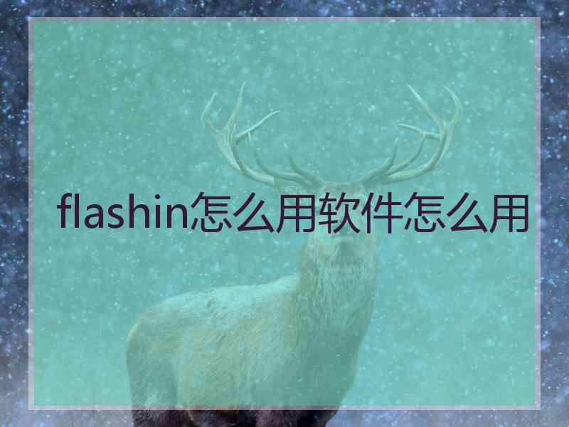 flashin怎么用软件怎么用