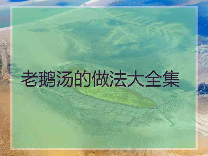 老鹅汤的做法大全集