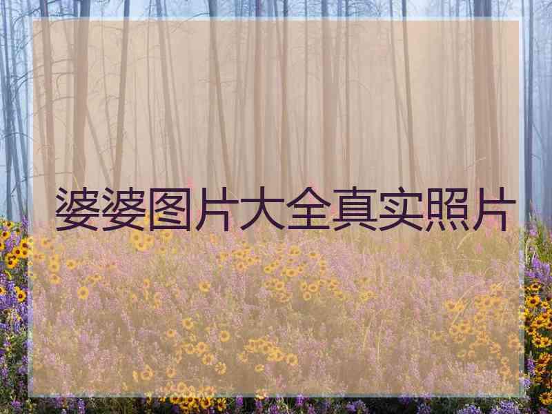 婆婆图片大全真实照片